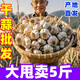 黃六爺河南干蒜紫皮特大蒜頭10斤新種子農(nóng)家臘八蒜獨頭蒜新鮮蒜頭多瓣蒜 3斤 紫皮干蒜【實惠小果】好吃又便宜