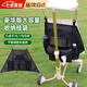 凌云鶴丸丫t2口袋車(chē)配件小虎子收納袋遛娃神器嬰兒車(chē)置物袋掛包 黑色【豪華款-帶豪華側(cè)兜】