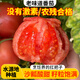 密農(nóng)人家新鮮西紅柿 農(nóng)家流沙番茄 自然熟沙瓤多汁 生吃西紅柿 番茄500g 流沙番茄500g