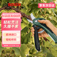 博世（BOSCH） 修枝剪電動(dòng)剪刀智能充電式修枝神器小型家用園藝剪果樹(shù)花藝