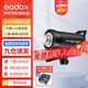 神牛（Godox） 攝影燈sk400二代閃光燈影室閃光燈服裝人像拍照攝影棚套裝影樓服裝攝影燈 SK400II 閃光版
