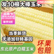 胖東來(lái)甄選糯玉米東北玉米棒子真空包裝的減肥專(zhuān)用正宗新鮮新玉米 【10支】東北白糯玉米:整箱2100·g