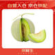 京鮮生 網(wǎng)紋蜜瓜 1粒裝 單果2斤起 生鮮水果