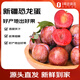 趣嘗鮮 新疆恐龍蛋李子 凈重3斤 單果60-85g 新鮮水果 源頭直發(fā)一件包郵