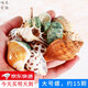 星舵寄居蟹殼卷貝魚替換專用殼天然海螺殼繁殖魚缸造景水族箱裝飾套裝 大號2-5cm，螺口1-3cm，約15個