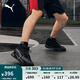 彪馬（PUMA）姜偉澤同款緩震防滑透氣實(shí)戰(zhàn)低幫籃球鞋男女DAGGER311353 黑色-銀河灰-05 43