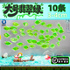 百綸木千【順豐】天使魚(yú)觀(guān)賞魚(yú)小魚(yú)群游淡水魚(yú)好養耐活熱帶魚(yú)新手魚(yú)苗金魚(yú) 【順豐發(fā)貨】3-4cm大號翡翠綠 10條