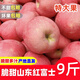 黃六爺山東紅富士煙蘋(píng)果新鮮臺水果春嘗鮮10斤包郵蘋(píng)果整箱冰糖心應當季 3斤【不打蠟，直接吃】 【特大果】果園現摘 | 新鮮脆甜