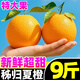 秭歸夏橙新鮮水果9斤榨汁專用新鮮現(xiàn)摘當(dāng)季時(shí)令手剝橙子整箱批發(fā) 3斤 【大果】65-70mm，新鮮超甜