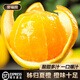 譽(yù)福園湖北秭歸夏橙當(dāng)季酸甜水果新鮮整箱榨汁橙子臍橙生鮮水果順豐 秭歸臍橙丨【帶花皮建議慎拍】 凈重5斤丨65-70mm丨
