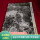 [正版舊書]盛世典藏當(dāng)代中國畫名家精品薈萃：著名中國畫家謝士強(qiáng)作品集 北