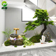 格度新中式室內(nèi)景觀造景竹子流水?dāng)[件循環(huán)水茶室庭院樓梯下方仿真綠植 定制設(shè)計定金
