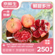 京鮮生 會(huì)理突尼斯軟籽石榴凈重4.5斤單果250-350g 生鮮水果 源頭直發(fā)
