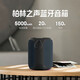 LUAMAR柏林之聲藍牙音箱發(fā)燒級HIFI重低音炮大音量戶外防水便攜音響家用好物 A8PRO雙麥唱歌版
