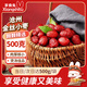 享食兔滄州特產(chǎn)特級金絲小棗煲湯煮粥蜜棗泡茶蜜餞優(yōu)質(zhì)紅棗一級果干1斤