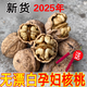 秦嶺山野外生山核桃老樹(shù)干核桃黑桃原味生核桃非紙皮孕婦核桃堅果 野生山核桃【大果】（2斤）送夾子