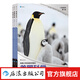 【23冊套裝】美國科學(xué)1-6年級全系列六級 小學(xué)生參考教材科學(xué)書(shū) 青少年探索精神培養 科普知識科教參考書(shū) 浪花朵朵童書(shū) 后浪正版 美國科學(xué) · 第六級【3冊】
