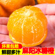果果牛湖南麻陽(yáng)冰糖橙 應當季新鮮水果手剝甜橙子高山夏臍血多汁 可選 9斤裝(55-60mm)實(shí)惠