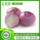 北菜園有機(jī)紫洋蔥400g新鮮蔬菜【進(jìn)店多樣加購】燒烤食材