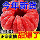 果味果蔬正宗福建紅心蜜柚爆甜多汁 新鮮時(shí)令孕婦水果整箱 單果1.4斤+ 9斤帶箱凈重8.5斤