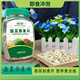 蔬菜燕麥片爆款混合麥片即食沖泡麥片代餐粗糧 蔬菜燕麥片450g/桶