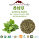 吾家余堂MRH有JI香蜂草 lemon balm檸檬香蜂草芳療花草茶 40g