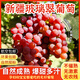 新疆葡萄吐魯番玻璃翠葡萄4斤新鮮水果無(wú)籽脆甜紅提水晶提子順豐L 4斤【順豐直發(fā)】