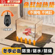 MDUG魚(yú)缸加熱墊斗魚(yú)加熱墊恒溫墊魚(yú)小型魚(yú)缸加熱墊烏龜加熱墊可調溫墊 常規款加熱墊 5w【14*15cm】