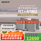 索尼（SONY）HT-A9M2 智能高端壁掛音響客廳家庭影院 電視回音壁音響杜比3D環(huán)繞 無線藍(lán)牙長(zhǎng)條形音箱 HT-A9M2