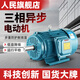 科創(chuàng)人民機(jī)電人民三相電機(jī)380V純銅0.75/1.1/1.5/2.2/3/4/5.5/7.5KW異步電動(dòng)機(jī) 7.5KW-4級(jí)/1400轉(zhuǎn)全銅大馬力款
