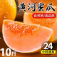 秋穎黃河蜜瓜現(xiàn)摘沙漠甜瓜10斤當(dāng)季新鮮水果黃金蜜瓜香瓜生鮮甜瓜 黃河蜜瓜  9斤裝（凈重8.5斤）