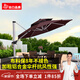 紫葉（ziye）戶外遮陽傘庭院傘太陽能LED帶燈傘花園露臺崗亭大雨擺攤傘太陽傘 升級款3米圓形【配370斤水箱】106MM傘桿