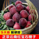 現摘云南紅寶石水蜜3斤桃新鮮桃子毛桃水蜜桃脆桃子當季水果R 2斤帶箱嘗鮮小果