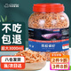 茨格曼 烏龜糧魚食南極磷蝦干烏龜飼料龍魚飼料錦鯉南極蝦干3000ml 3000ml/罐
