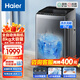 海爾（Haier）洗鞋機全自動刷鞋機可脫水家用智能洗脫一體多功能懶人洗鞋神器迷你免拆鞋帶 【2025新品 8kg大容量 免拆鞋帶】T66H