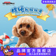 多格漫狗狗乳膠玩具狗發(fā)聲玩具陪伴玩具 救生圈