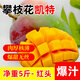【新鮮上市】攀枝花凱特芒果新鮮水果大果單果400g源頭果園直發(fā) 凈重5斤【單果400克以上】紅頭