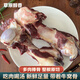 草原醇香新鮮黃牛肉牛大骨棒生鮮原切黃膘牛棒骨2.5kg肉類食材燉湯 牛棒骨5斤