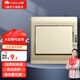 飛雕（FEIDIAO）家用開(kāi)關(guān)插座面板五孔暗裝插座86型空調(diào)三孔插USB網(wǎng)線電視插A3金 一開(kāi)雙控