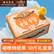 褚橙 云南冰糖橙  特級果 XL10斤裝 單果約165g起 生鮮水果禮盒