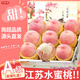 京地達(dá)江蘇新沂水蜜桃凈重8斤單果250g+ 正宗桃子應(yīng)季現(xiàn)貨源頭直發(fā)包郵