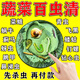 百蟲(chóng)清蔬菜專(zhuān)用殺蟲(chóng)劑無(wú)毒菜園除蟲(chóng)劑菜地蘿卜白青菜辣椒防蟲(chóng)顆粒 3袋裝【蟲(chóng)卵雙殺】