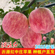 山東沂源紅富士正宗中莊蘋(píng)果整箱脆甜多汁新鮮水果當季現摘煙臺 【9斤】85mm以上超級大果16-18個(gè)