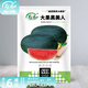 壽禾 西瓜種子大全麒麟瓜種8424南方秋季 （黑皮大果）黑美人西瓜種子20粒