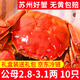 【活蟹】龍行大閘蟹現貨 鮮活螃蟹六月黃公母河蟹水產(chǎn)海鮮禮盒裝 六月黃2.8-3.1兩 10只