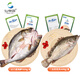 仙泉湖 三去白蕉海鱸魚(yú)500g/條+三去桂花魚(yú)400g/條冷凍海鮮水產(chǎn)食材