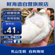 鮮海道 鮮活乳山生蠔3XL 凈重5斤 13-17只 生鮮海鮮貝類 源頭直發(fā)