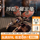 若態(tài)若客智控犀金龜 diy積木拼裝兒童玩具機(jī)械甲蟲拼圖男孩生日禮物女