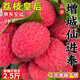 京地達(dá)廣東增城仙進(jìn)奉荔枝2.5斤特大果22g+ 不泡水空運(yùn)新鮮水果源頭直發(fā)