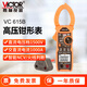 勝利儀器（VICTOR）數(shù)字鉗形表 高壓鉗形電流表家用 自動量程交直流鉗表1000A大口徑 VC615B【1500V直流電壓】